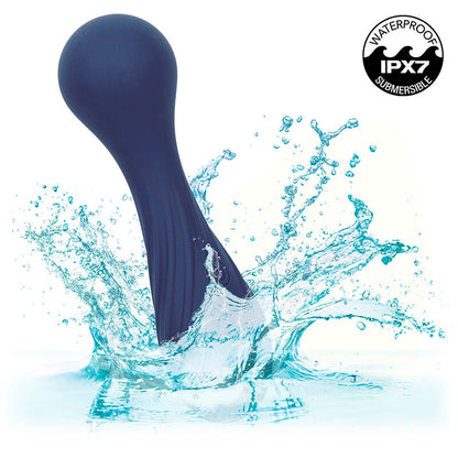 CALEXOTICS - CHARISMA TEMPTATION MASAJEADOR 12 FUNCIONES MORADO